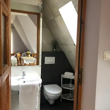 Apartamenty Nad Potokiem Aneta Burliga Zakopane Exterior photo