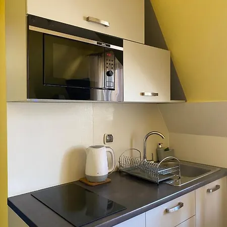 Apartamenty Nad Potokiem Aneta Burliga Zakopane Exterior photo