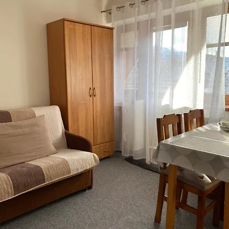 Apartamenty Nad Potokiem Aneta Burliga Zakopane Exterior photo
