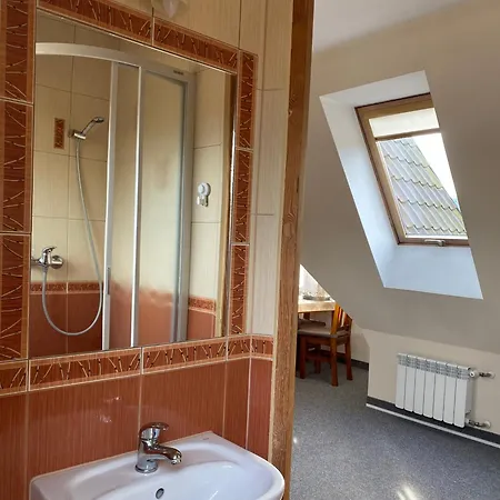 Apartamenty Nad Potokiem Aneta Burliga Zakopane Exterior photo