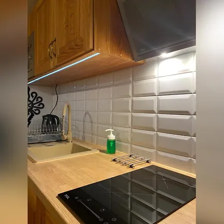 Apartamenty Nad Potokiem Aneta Burliga Zakopane Exterior photo