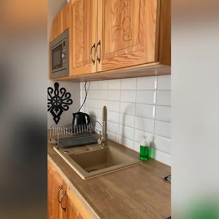Apartamenty Nad Potokiem Aneta Burliga Zakopane Exterior photo