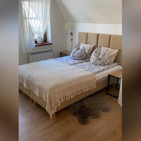 Apartamenty Nad Potokiem Aneta Burliga Zakopane Exterior photo