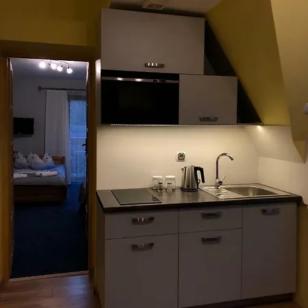 Apartamenty Nad Potokiem Aneta Burliga Zakopane Exterior photo